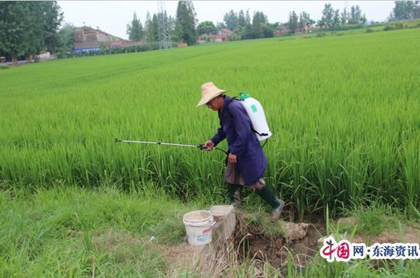 人工打藥和植保無人機作業(yè)，哪個好？