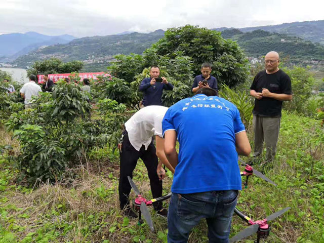 天鷹兄弟植保無人機其作業(yè)效率高、噴灑效果好深受農(nóng)戶認可。