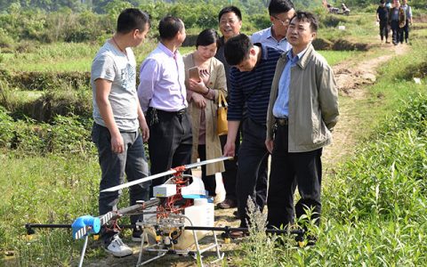 吉安縣利用植保無人機(jī)統(tǒng)防統(tǒng)治水稻病蟲害