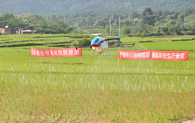 植保無(wú)人機(jī)在作業(yè)上與傳統(tǒng)人工噴霧器相比具有高效、節(jié)藥、安全、便利等優(yōu)勢(shì)