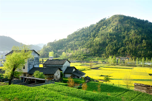 農(nóng)業(yè)植保無人機(jī)駕駛員真的月入10萬？