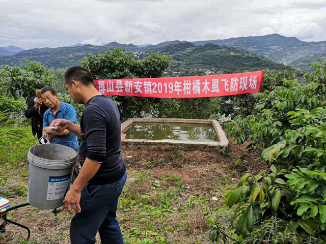 柑橘木虱的“克星”——植保無人機