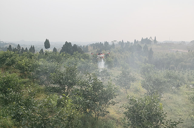 在樂山市井研縣，一臺植保無人機(jī)緩緩升空