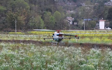 盤州市：植保無人機(jī)為軟籽石榴施肥施藥