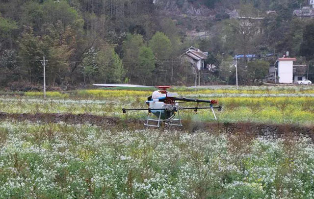 盤州市：植保無(wú)人機(jī)為軟籽石榴施肥施藥 