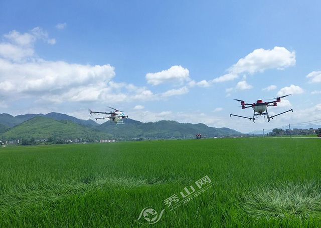 秀山縣開展無人機水稻病蟲施藥