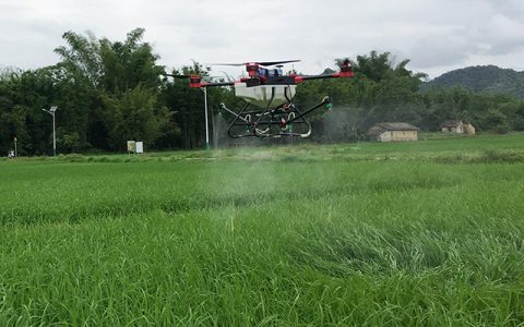 龍門縣植保無人機助力病蟲害防治