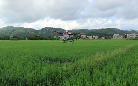 飛防作業(yè)中碰到“粉劑”應(yīng)該如何應(yīng)對