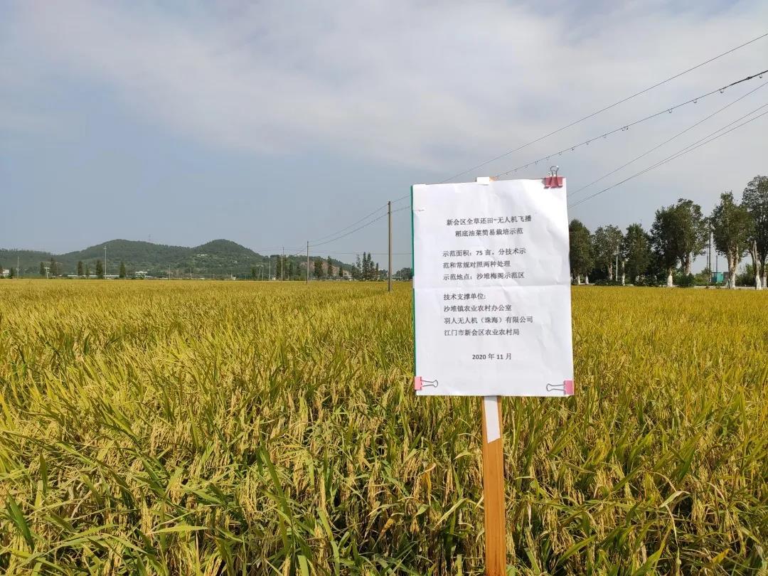 解鎖新技能！珠海羽人無(wú)人機(jī)廣東新會(huì)飛播稻底油菜