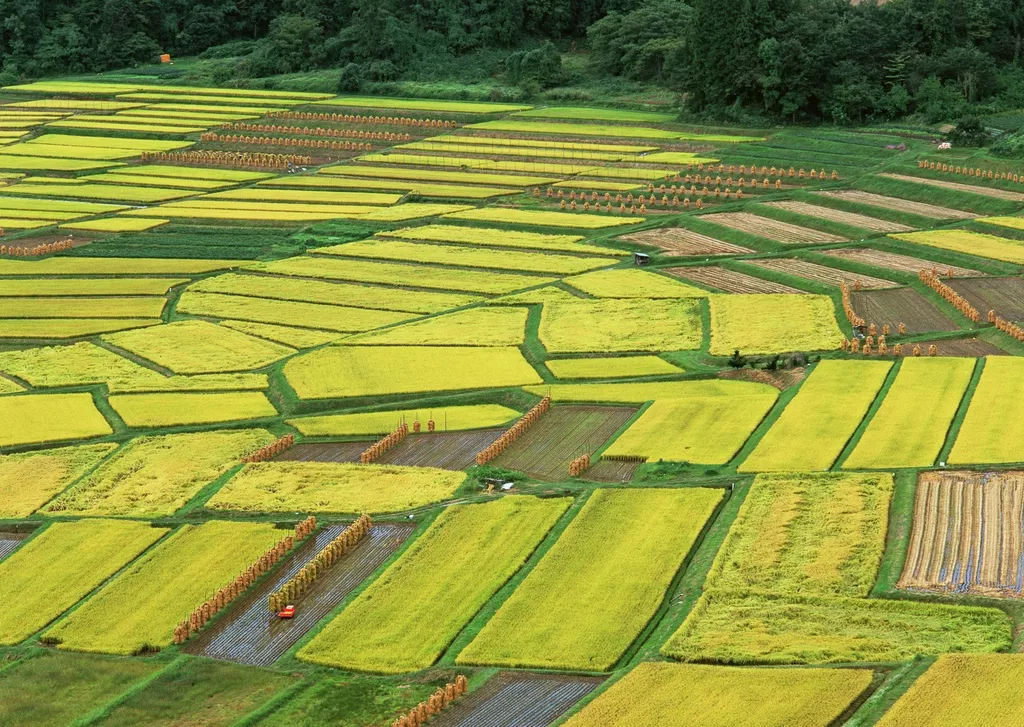 農(nóng)業(yè)無人機市場規(guī)模分析