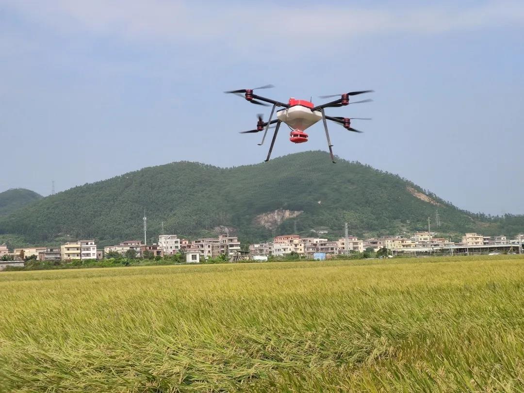 明年高校畢業(yè)生將首次突破900萬人，無人機駕駛員人才緊缺