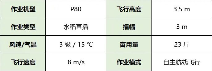 水稻直播，極飛 P80 農(nóng)業(yè)無人機(jī)效果如何？