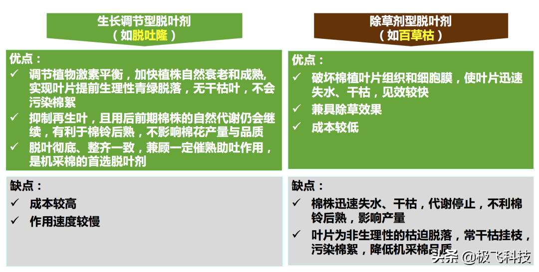 提高脫葉效果的 5 個施藥要點