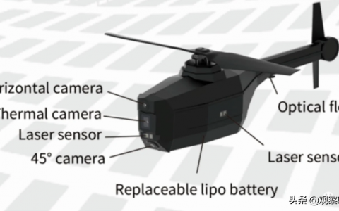 中國(guó)“蜂鳥”小型無人偵察機(jī)，只有17厘米長(zhǎng)，重35克