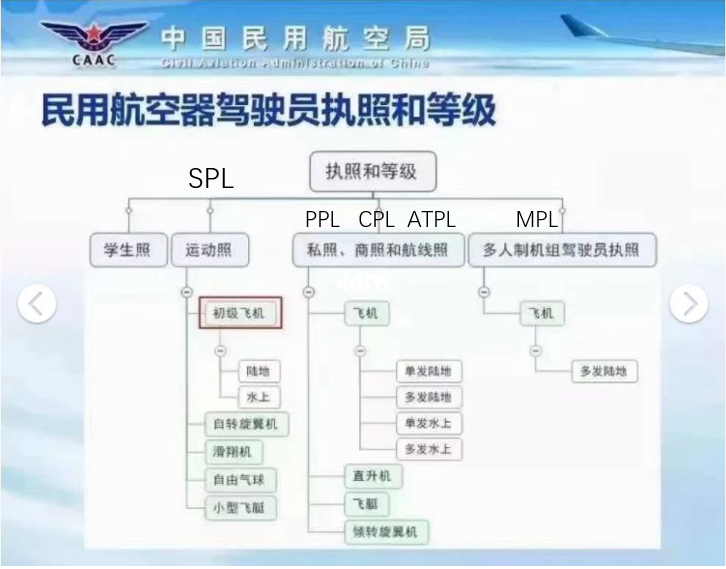 飛行駕照門檻再降低，初級飛機運動駕照SPL受追捧