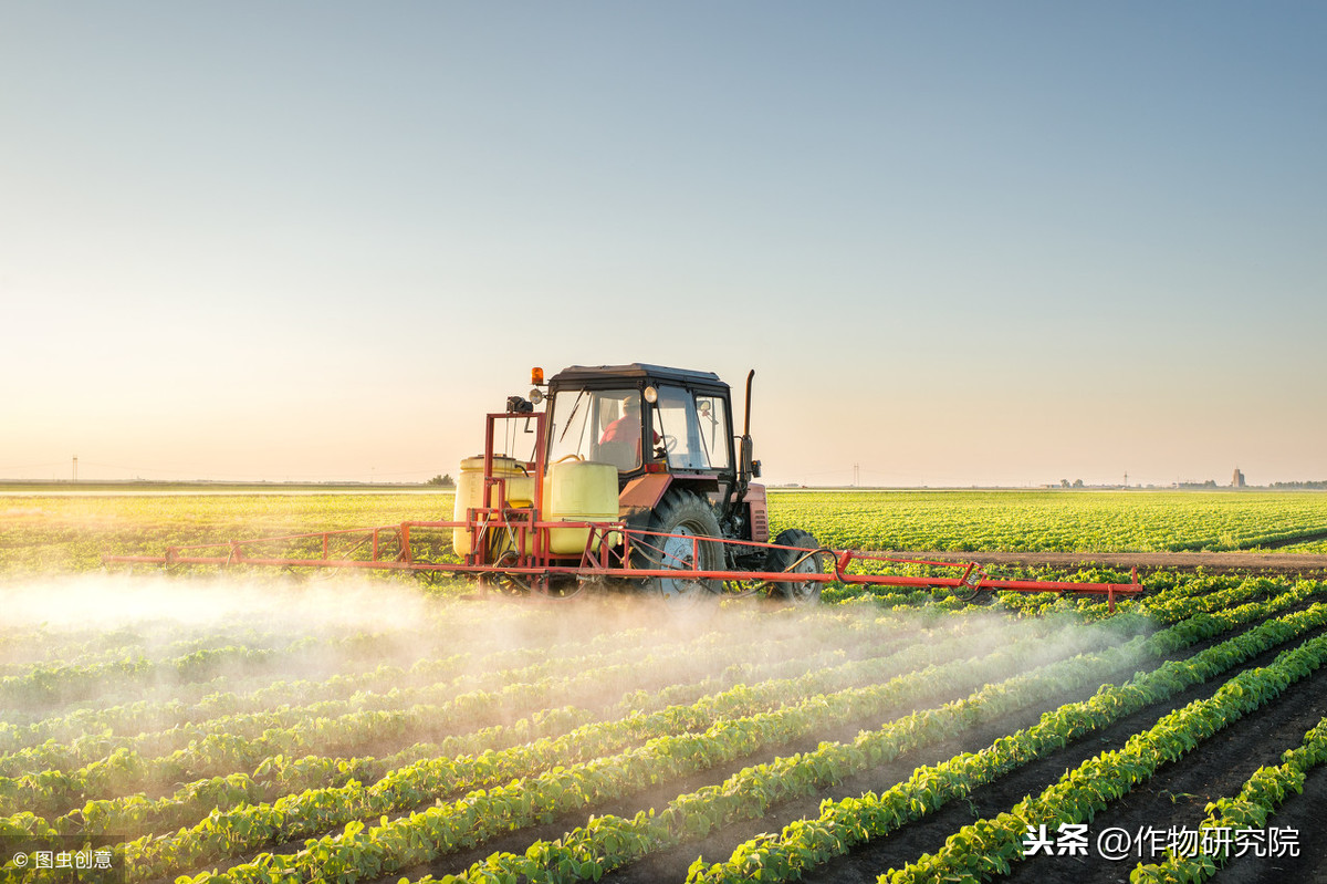 2019做植保飛防，搞明白這些才能有錢賺！