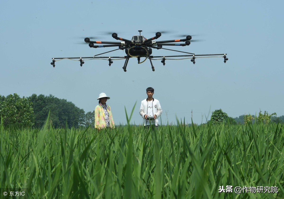 2019做植保飛防，搞明白這些才能有錢賺！