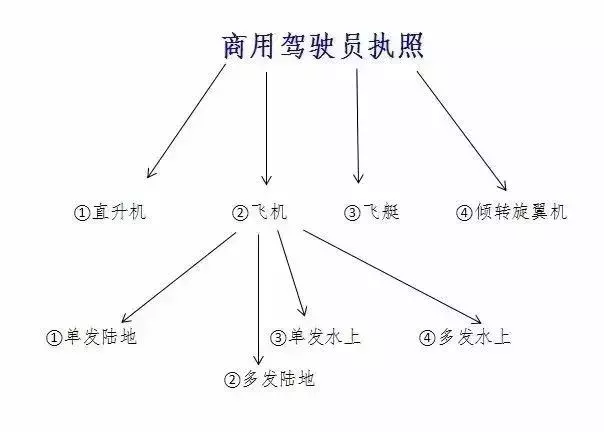 你知道拿了飛行執(zhí)照能開什么飛機嗎？